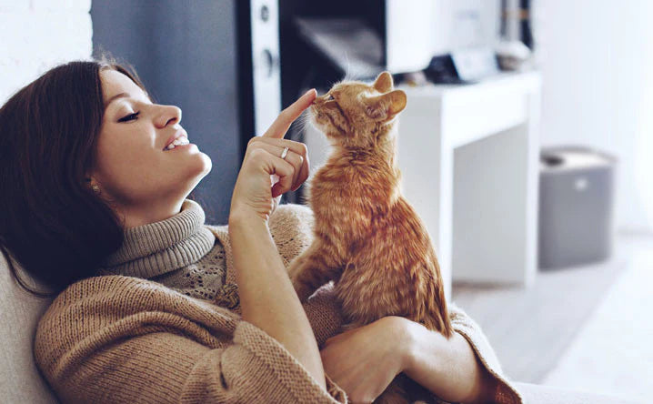 6 ways kitty brings you health and happiness.