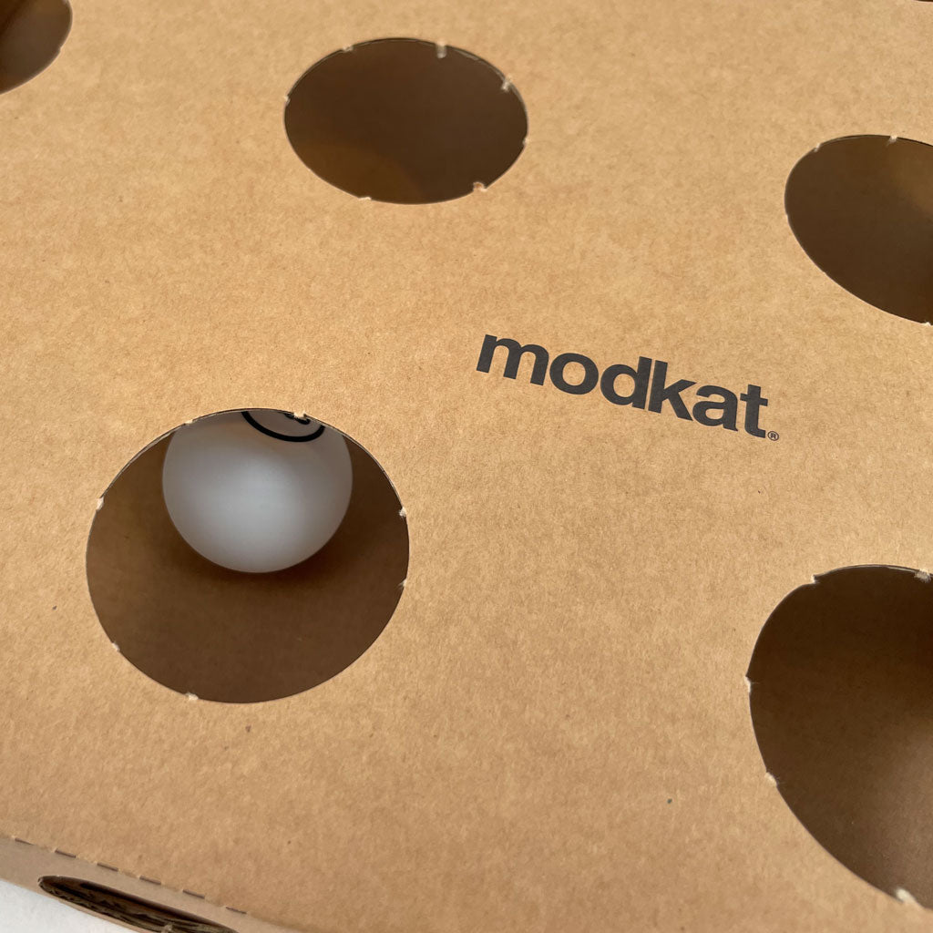 Cat Box Toy (3-Pack)