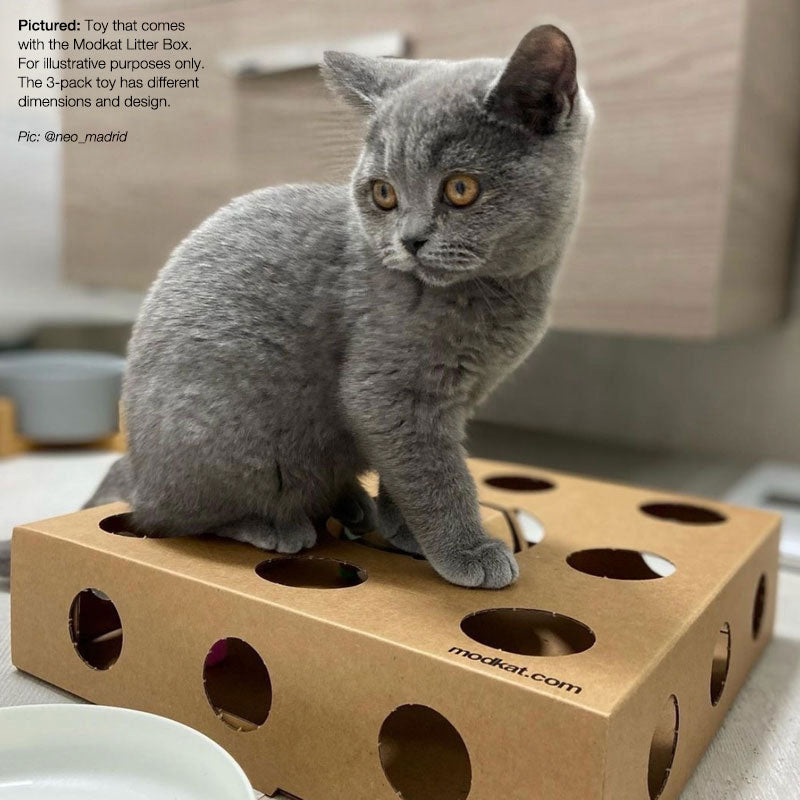Cat Box Toy (3-Pack)