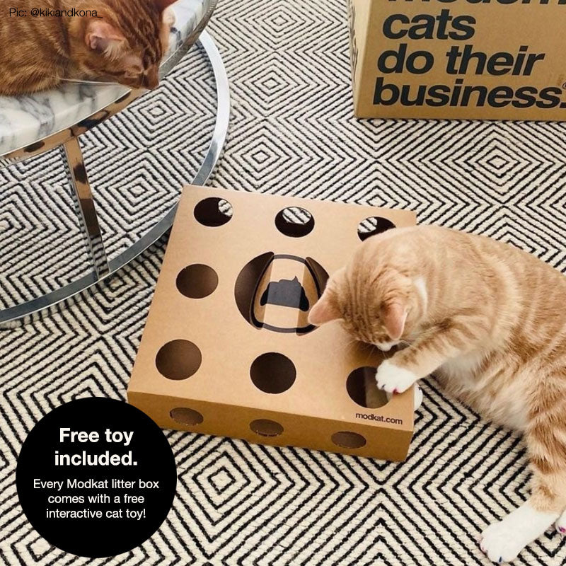 Modkat XL Litter Box
