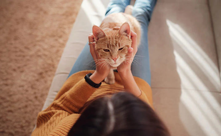 4 ways to tell if your cat loves you.