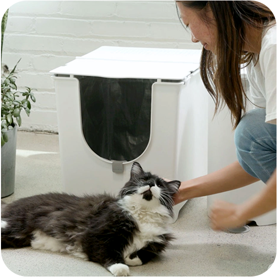 置物 maocat 71gDcGZVUpL._UF894,1000_QL80_.jpg