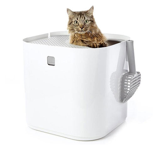 Narrow kitty shop litter box