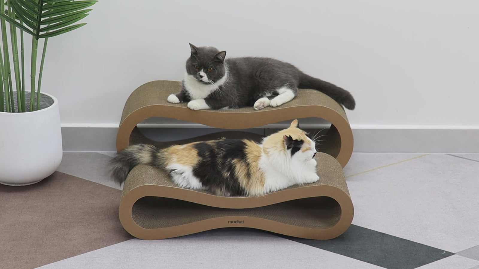Cat Scratcher Lounge (Set)