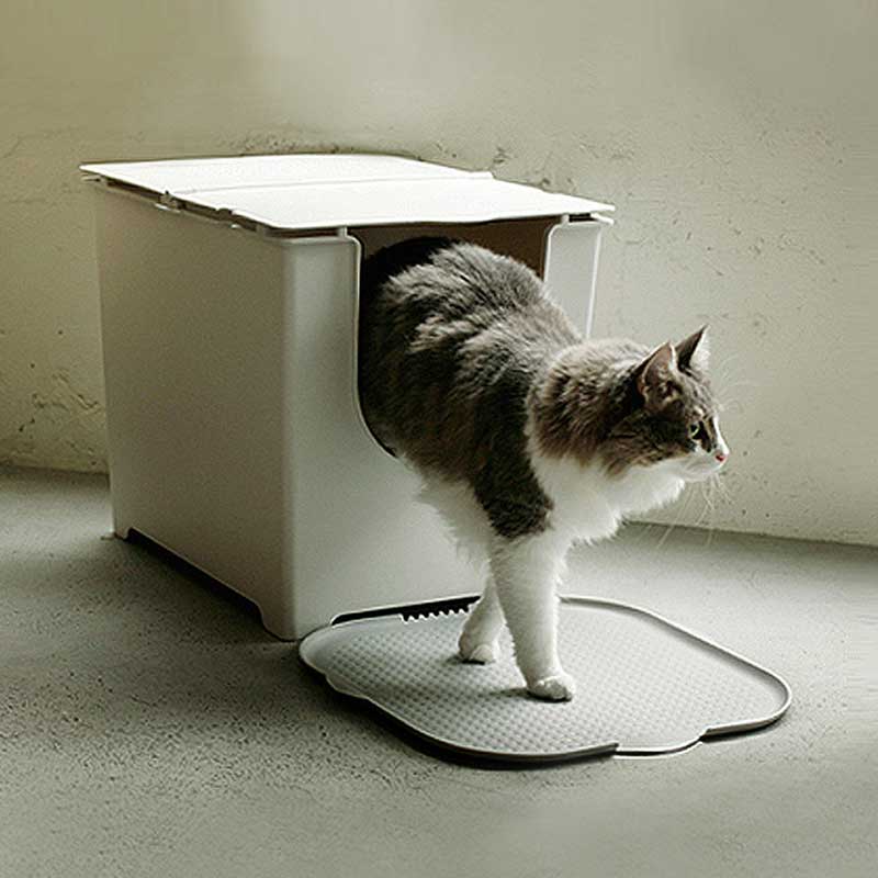 A cat walking on the Katch Litter Mat