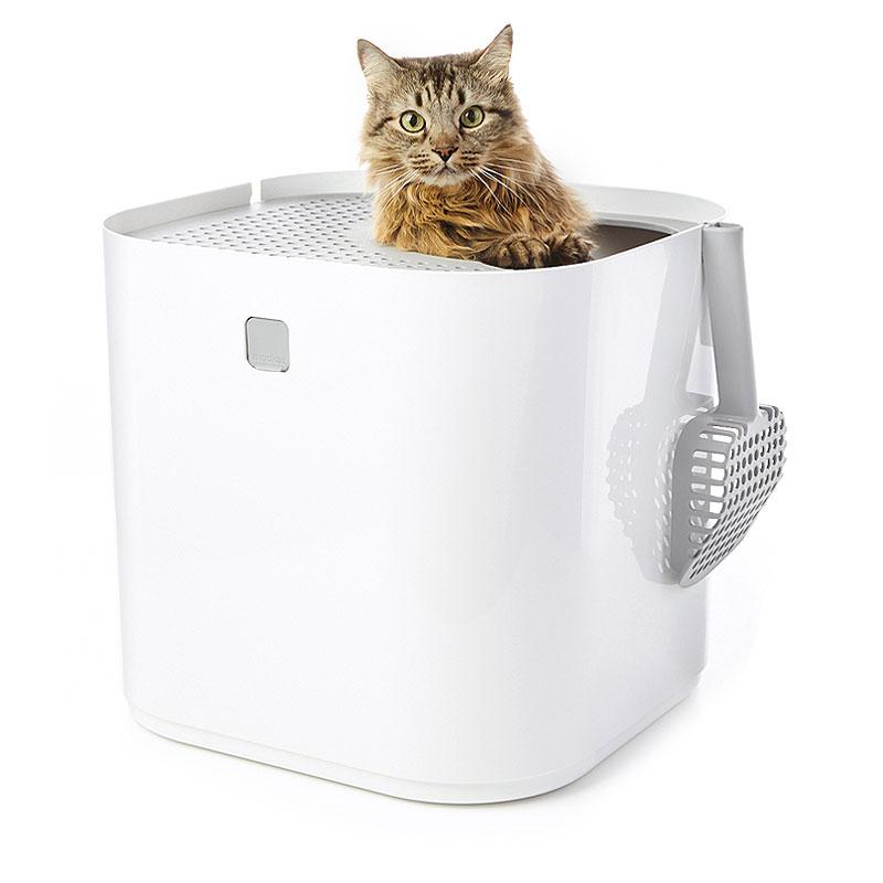 Modkat&#39;s top-entry litter box from the back